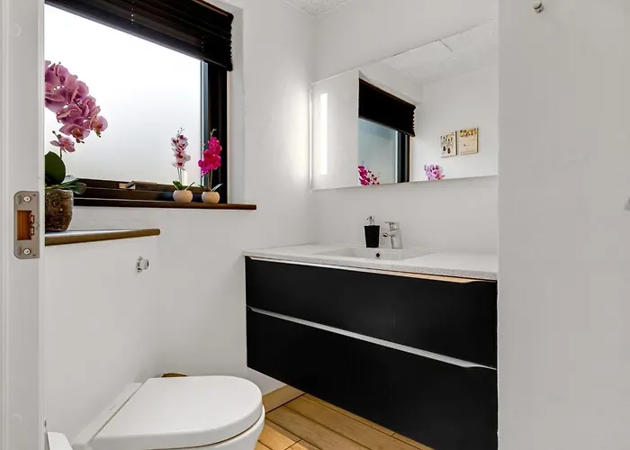 Nona - 1-1km From The Sea By Interhome * Blavand